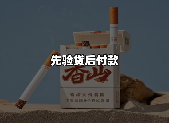 专业优势